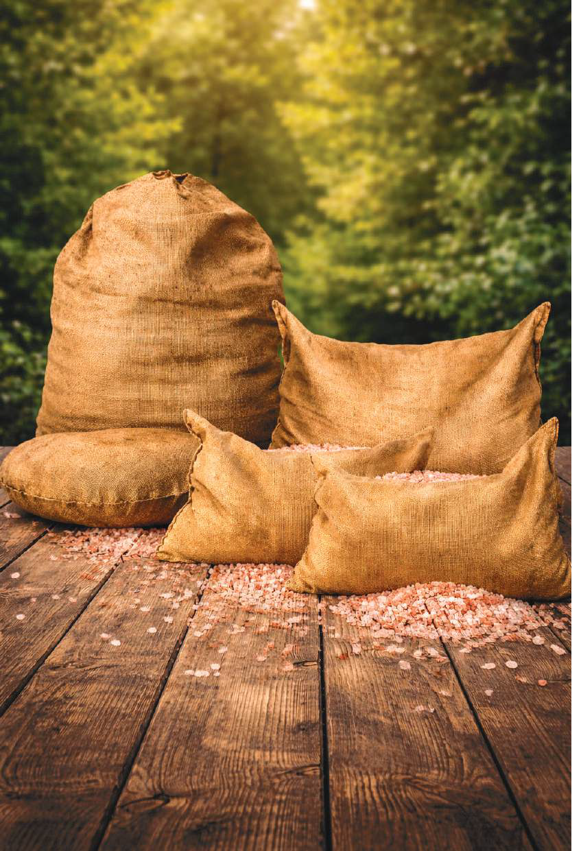 Himalayan Salt Therapy Pillows | Natural Relief for Neck, Back & Joints