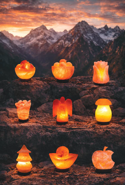 Handcrafted Custom Shaped Himalayan Pink Salt Lamp